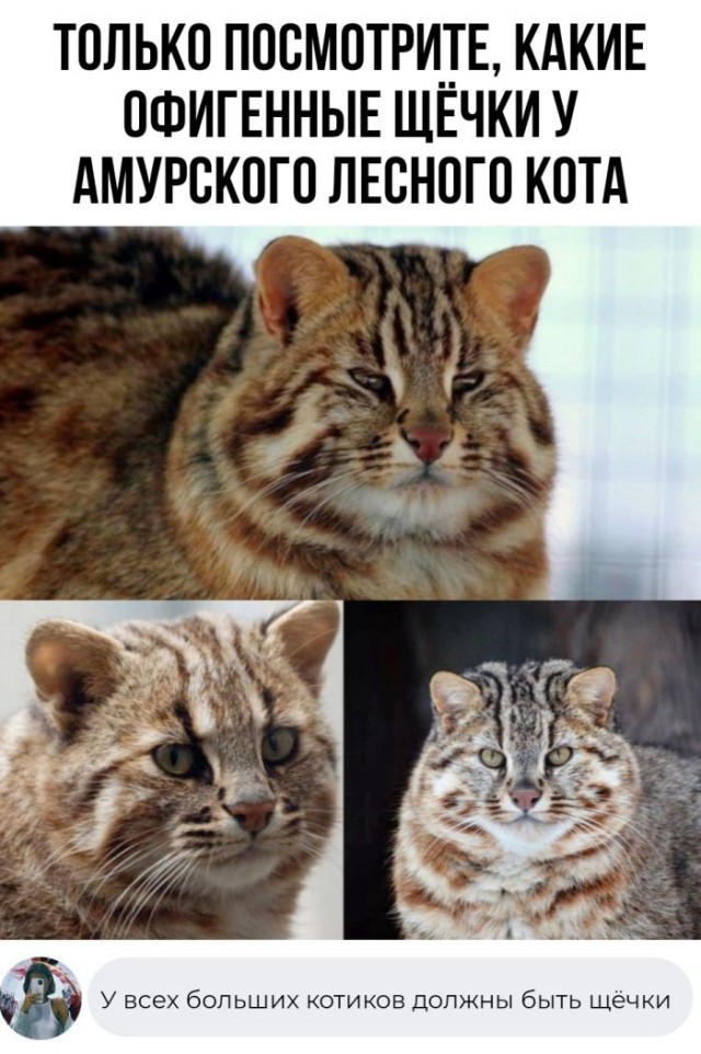 Немного картинок для настроения - 153