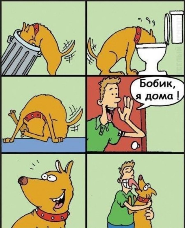 Чёрно-пошлая деградация