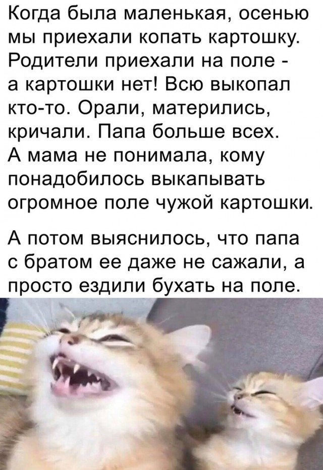 Так себе картинки 30.03.23
