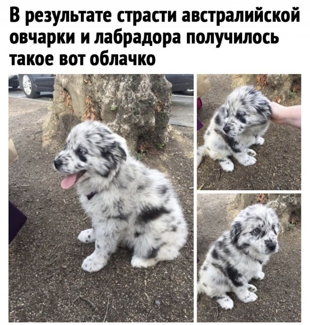 Так себе картинки 20.06.23