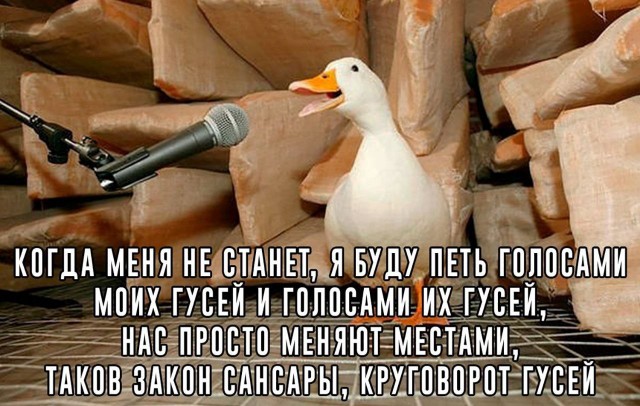 Народная меДИЧина 1002
