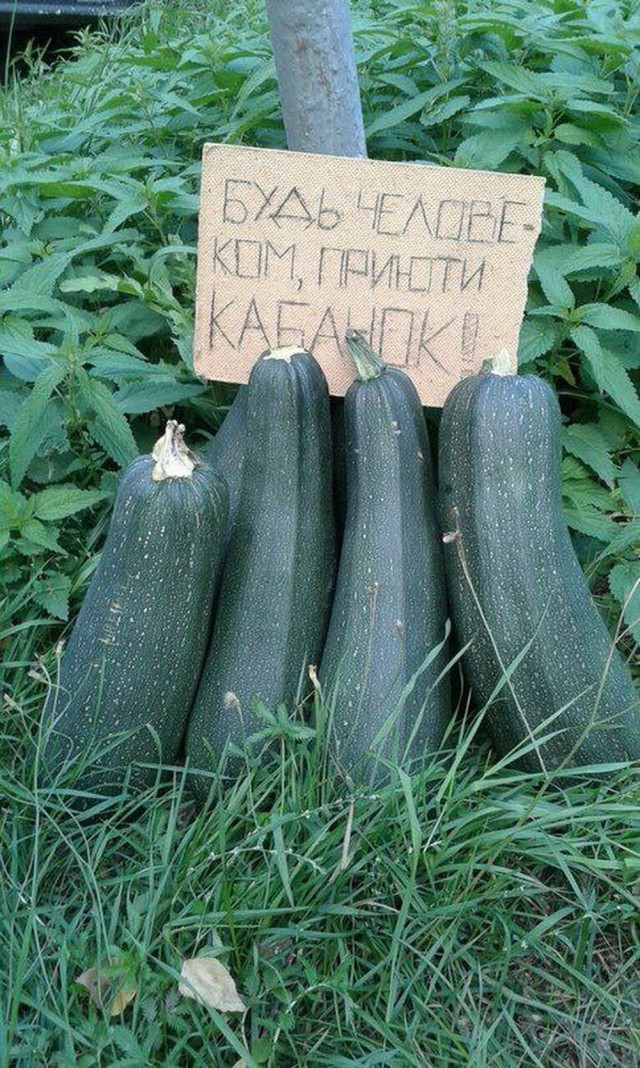 Веселые и не очень картинки и тексты