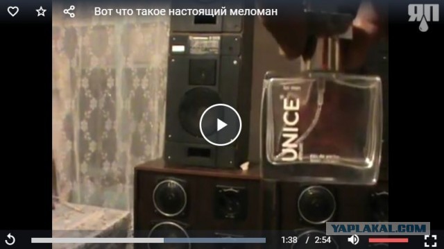 Вот что такое настоящий меломан