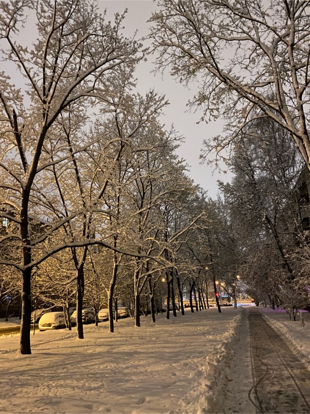 Зимняя красота