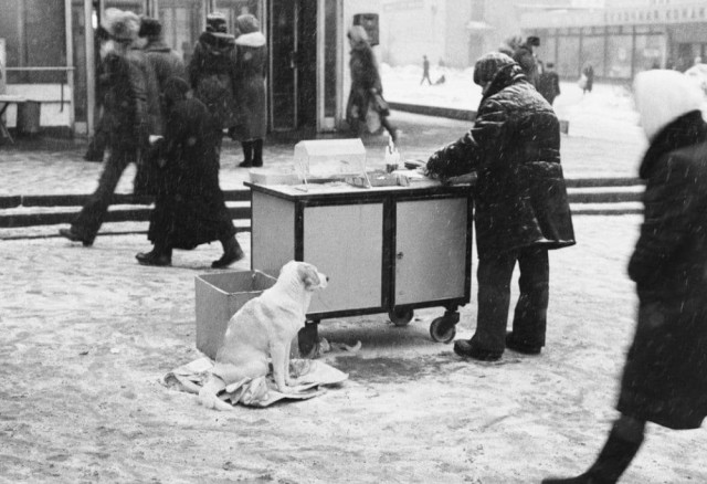 Москва и москвичи. Двадцатый век. (12.02.24)