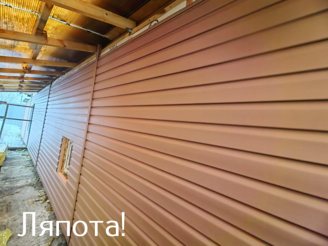 Жизнь домашнего приюта "Котоленд" 430