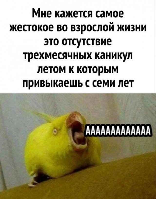 Всего понемногу. От 16.05.2024