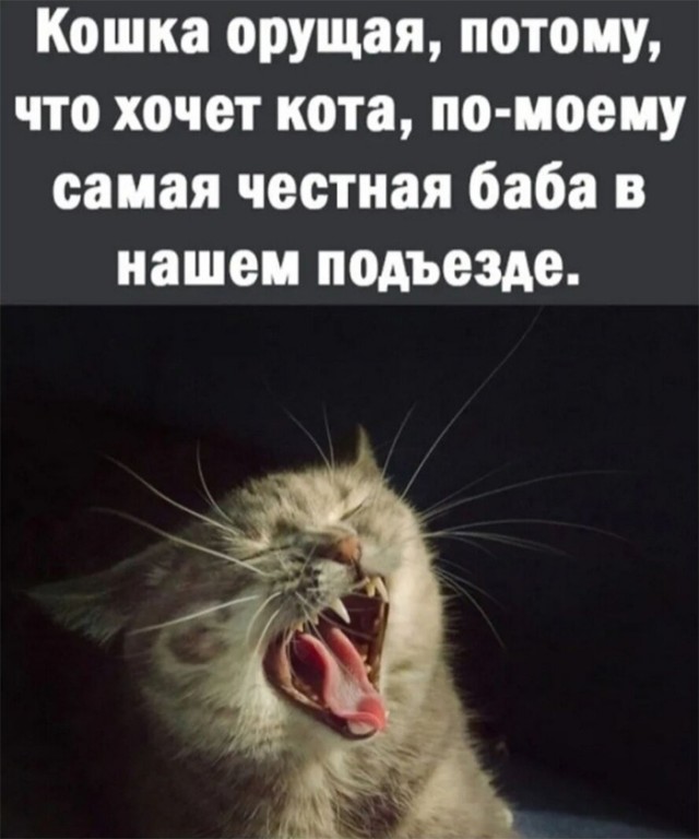 Немного картинок и прочей хреноты Vol. 30