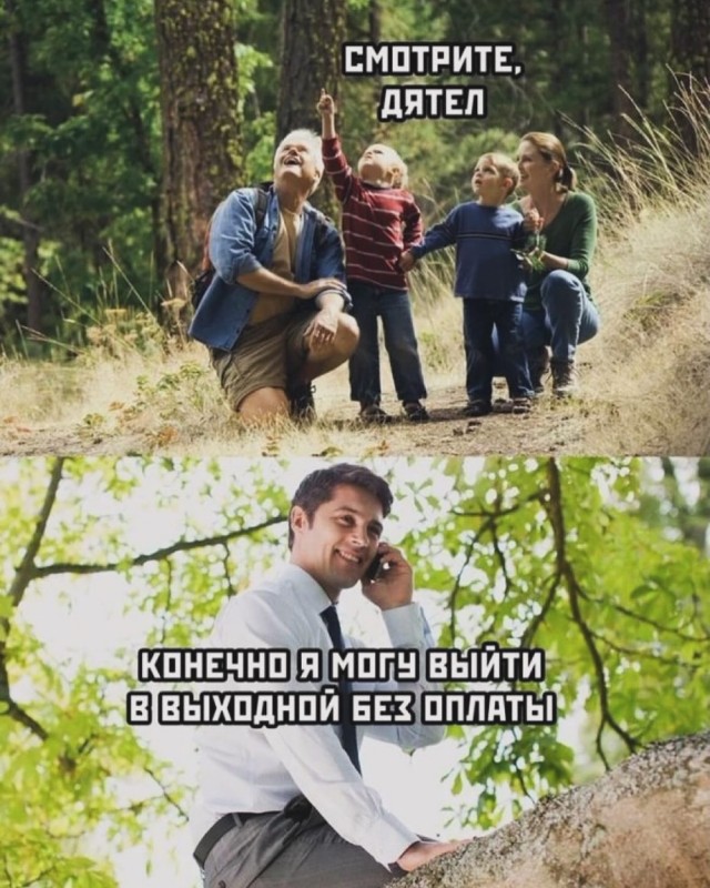 Быстрая деградация