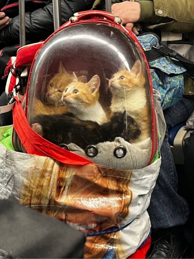 Космонавты в метро