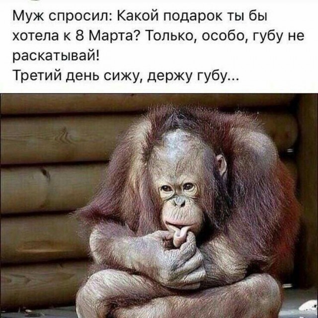 В защиту алкоголя