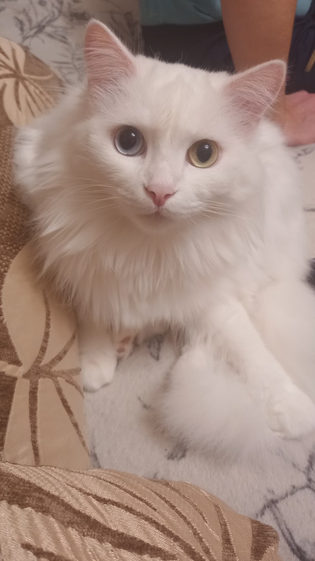 Посмотрите, кого я нашёл на улице