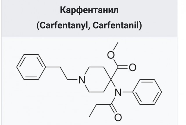 Все *овно к нашему берегу
