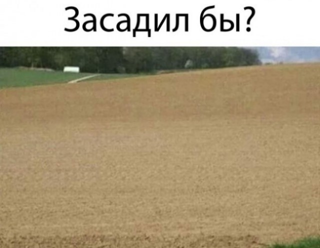 Засадил бы?