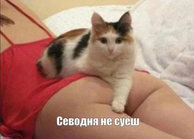 Завалялось тут случайно немного забавных картинок