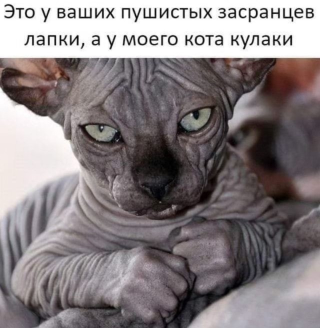 Так себе картинки 23.06.25