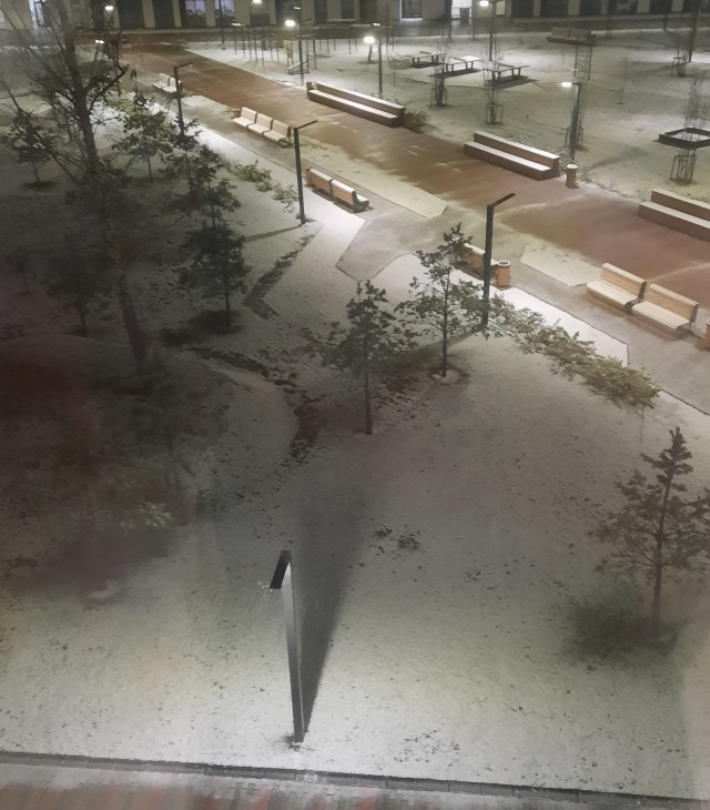 Зима, блеать