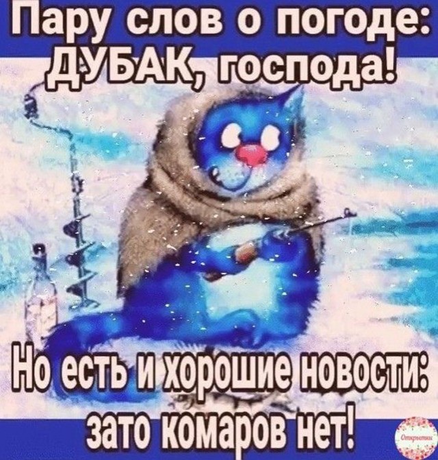 Прикольные и просто красивые картинки 30.01.2026