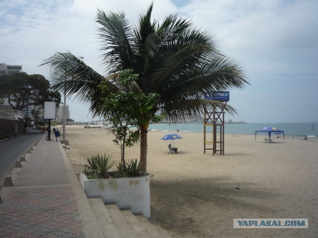 Не Сочи в противовес Египту, Турции и пр