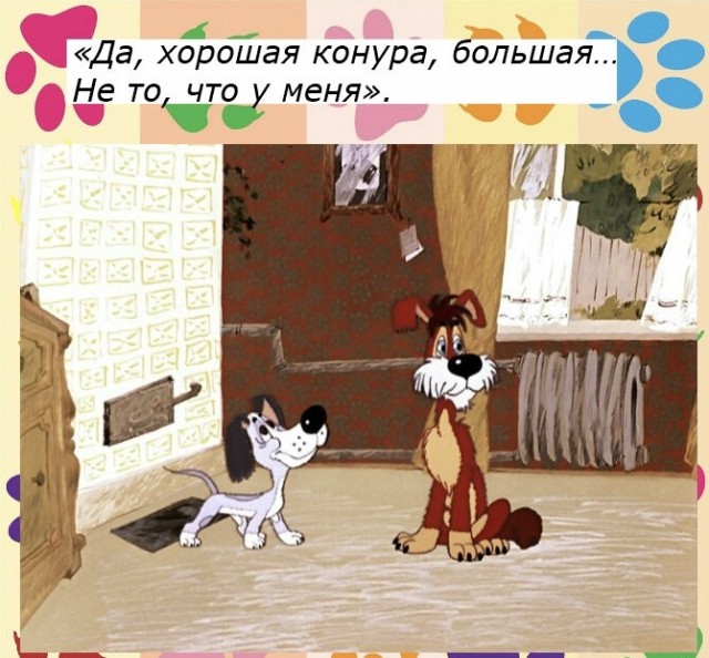 Как живёт одинокий китайский мужик