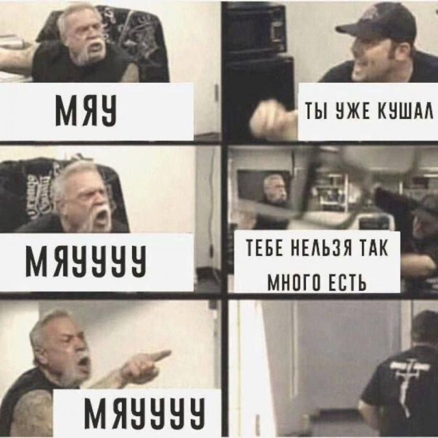 Картиночки, баянчики 07 февраля