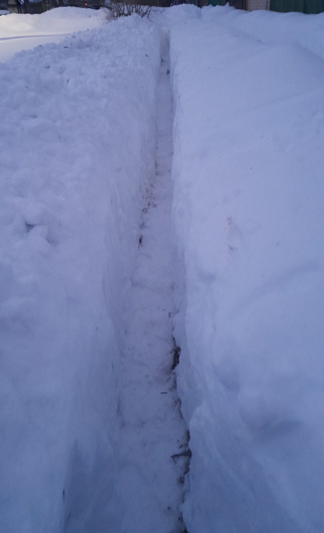 Начало весны в деревне