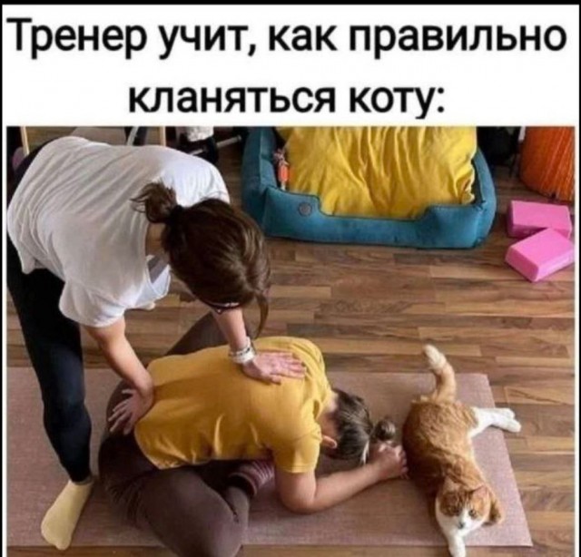 Котямбосы