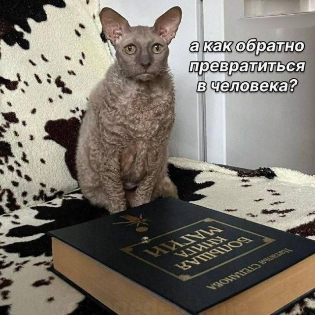 Помощники