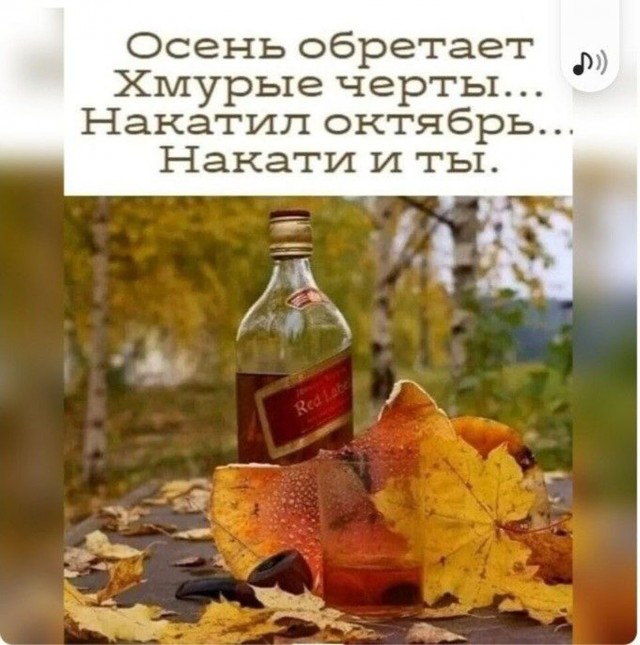 Прикольные и просто красивые картинки 16.10.2026