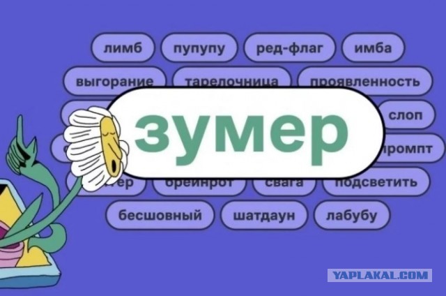 Опять про зумеров от бумера