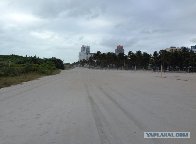 Поездка в Miami