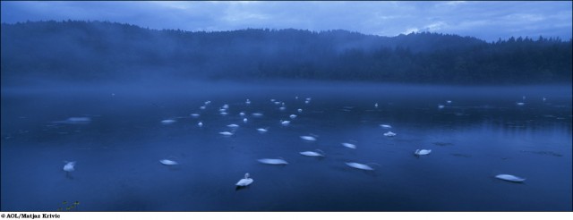 Храмы Земли