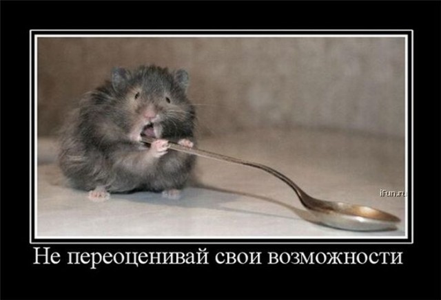 Демотиваторы.