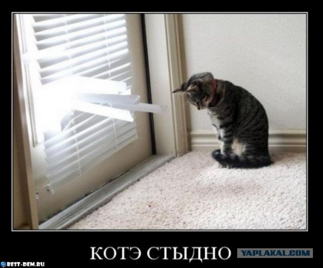 Чёрт, чёрт, чёрт!