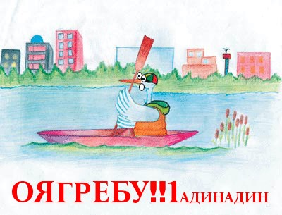 Что выбрали бы вы ?