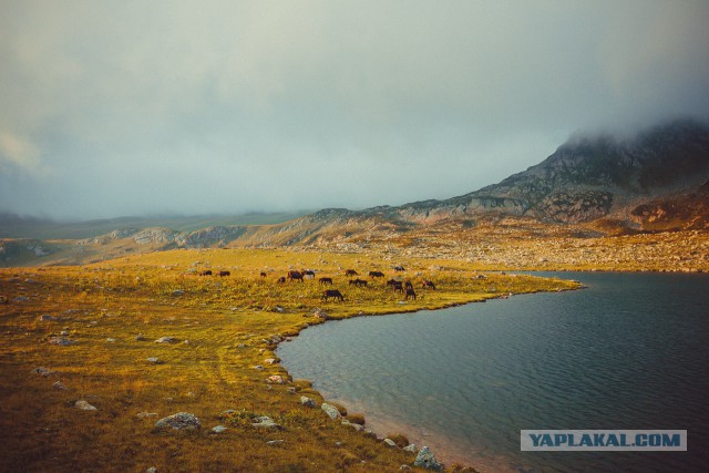 К заповедным озерам и долинам Архыза