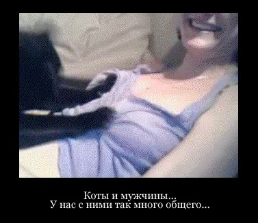 Пятница мчится на всех парах!