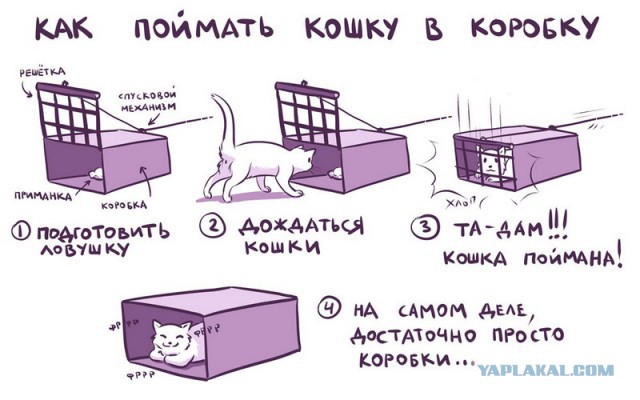 Веселости