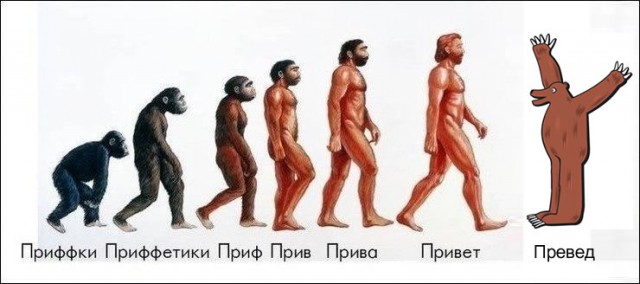 Закуток граммарнаци