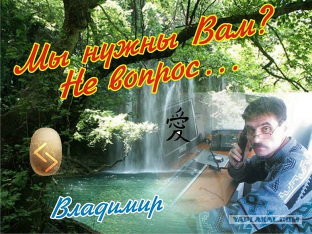 Дизайнер от бога