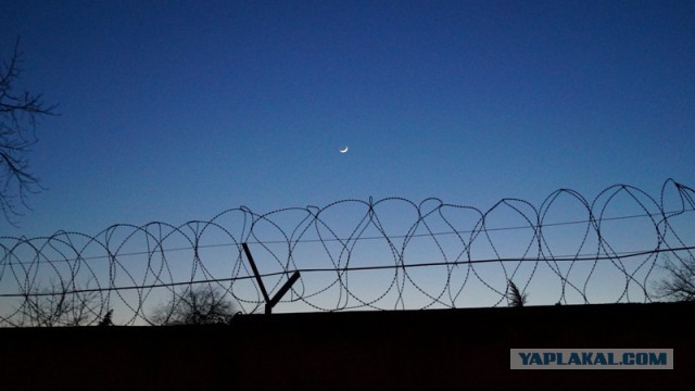 Как я стал гражданином РФ или квест на получение гражданства