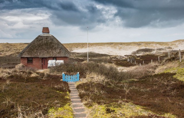 Красивые фото