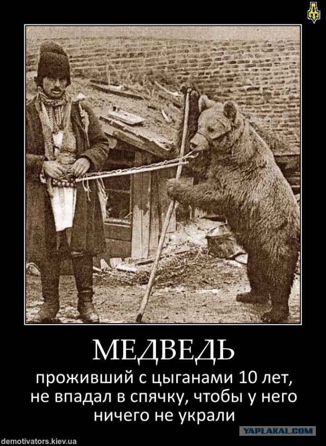 Демотиваторов немножко.