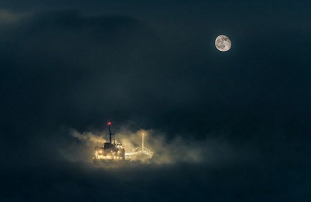 Подборка интересных и веселых фото