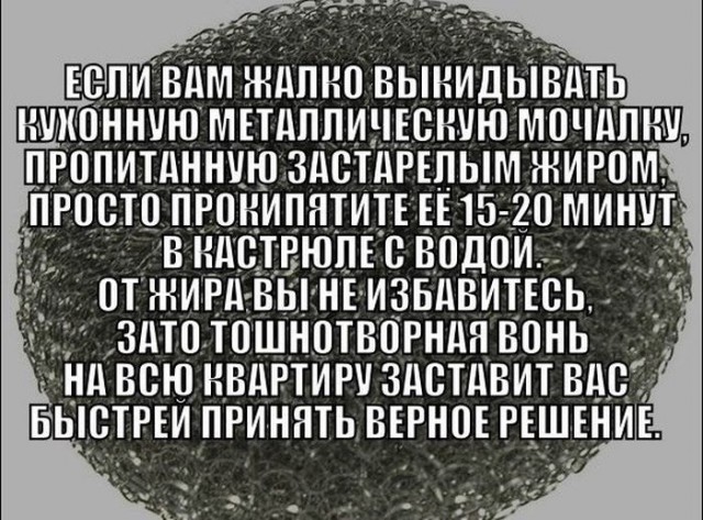 Порция картинок из сети