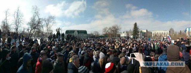 Задержания происходят на антикоррупционных акциях «Он нам не Димон»