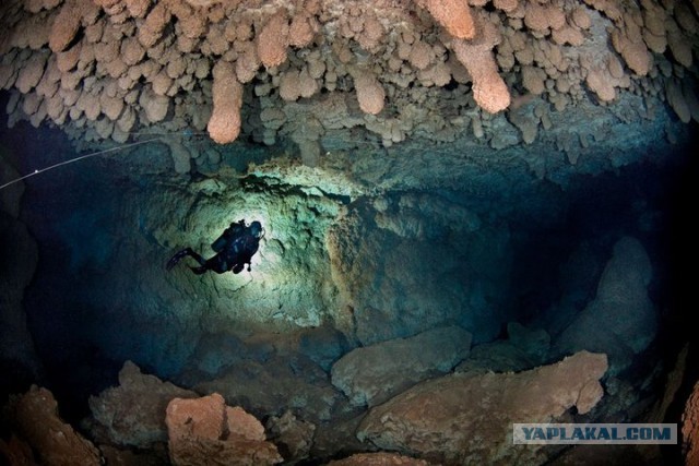 Кошмар дайвера: испанец два дня провел под водой без света и кислорода