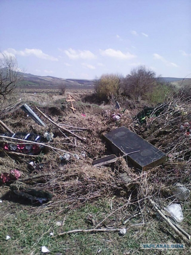 За что крымские чиновники назвали блогера мудаком