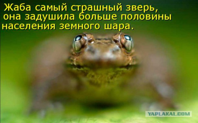 День рождения Москвы