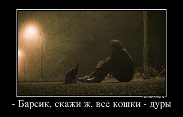 Женские форумы порой - источник немыслимой дичи